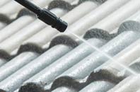 rated North Skelton roof cleaning companies